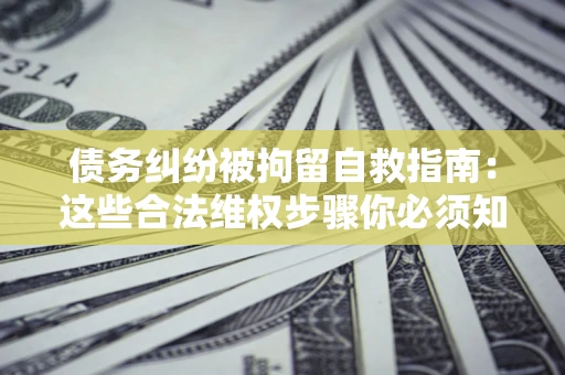 武汉债务纠纷被拘留自救指南：这些合法维权步骤你必须知道！