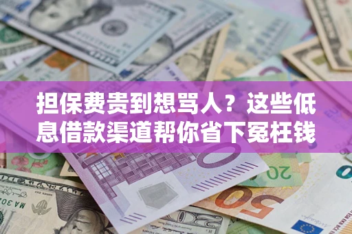 武汉担保费贵到想骂人？这些低息借款渠道帮你省下冤枉钱