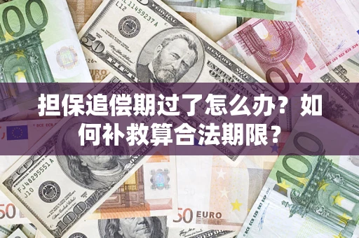 武汉担保追偿期过了怎么办？如何补救算合法期限？