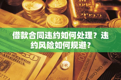 武汉借款合同违约如何处理？违约风险如何规避？