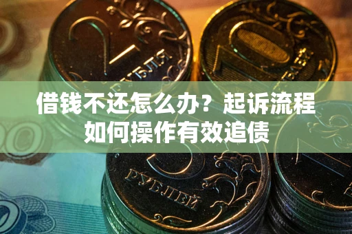 武汉借钱不还怎么办？起诉流程如何操作有效追债