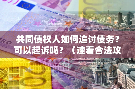 武汉共同债权人如何追讨债务？可以起诉吗？（速看合法攻略）
