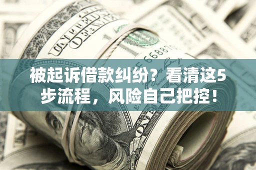 武汉被起诉借款纠纷？看清这5步流程，风险自己把控！