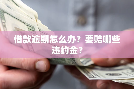 武汉借款逾期怎么办？要赔哪些违约金？