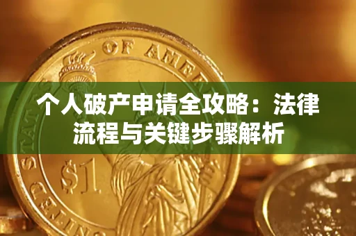 武汉个人破产申请全攻略：法律流程与关键步骤解析