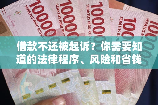 武汉借款不还被起诉？你需要知道的法律程序、风险和省钱技巧