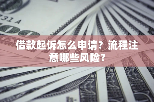武汉借款起诉怎么申请？流程注意哪些风险？
