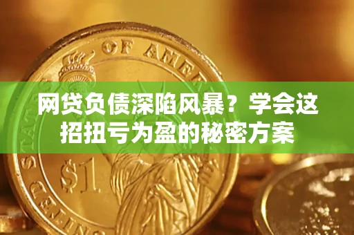 武汉网贷负债深陷风暴？学会这招扭亏为盈的秘密方案